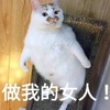 萌宠 猫星人 做我的女人 开心 呆萌 可爱