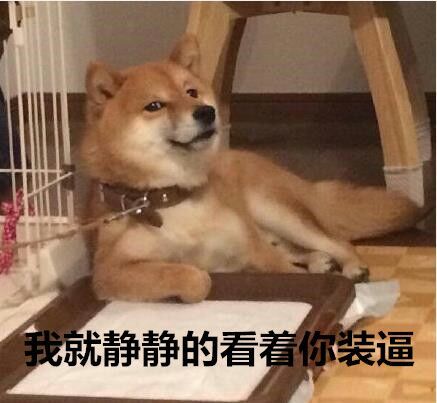 柴犬斜眼趴着静静看你装逼讯飞gif动图