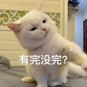 萌宠 猫 有完没完 生气 呆萌 可爱