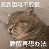 萌宠 猫星人 遇到困难不要慌 睡醒再想办法 搞怪 呆萌