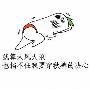 风大gif给我点水喝gif末路狂花gifthelmaandlouisegif