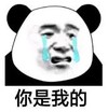 暴漫 熊猫头 你是我的 搞笑 逗 沙雕