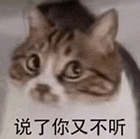 萌寵 貓咪 說了你又不聽 呆萌 可愛