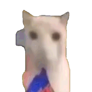萌宠 猫咪 好吃 呆萌 可爱