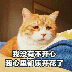 猫咪