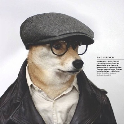 柴犬戴着帽子的头像图片