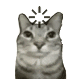 萌宠 猫咪 思考 呆萌 可爱