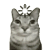 萌宠 猫咪 思考 呆萌 可爱
