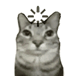 萌宠 猫咪 思考 呆萌 可爱