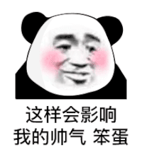 暴漫 熊猫头 这样会影响我的帅气 笨蛋 搞怪 逗