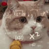 萌宠 猫咪 思考 呆萌 可爱