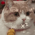 萌宠 猫咪 思考 呆萌 可爱