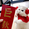 萌宠 猫咪 巨款 呆萌 可爱