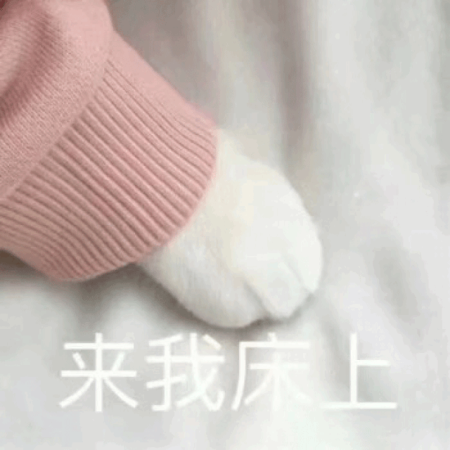 萌宠 猫咪 来我床上 呆萌 可爱