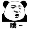 暴漫 熊猫头 哦 知道了 搞怪 逗
