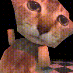 阿米嘎蒂朵 猫咪 喵喵 可爱 搞怪