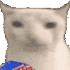 萌宠 猫咪 吃 呆萌 可爱