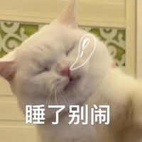 萌宠 猫 睡了别闹 生气 呆萌 可爱