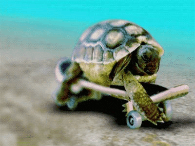 小乌龟走路动图图片
