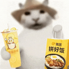 搞怪 沙雕 抽象 猫咪