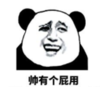 暴漫 熊猫头 帅有个屁用 搞笑 逗 沙雕