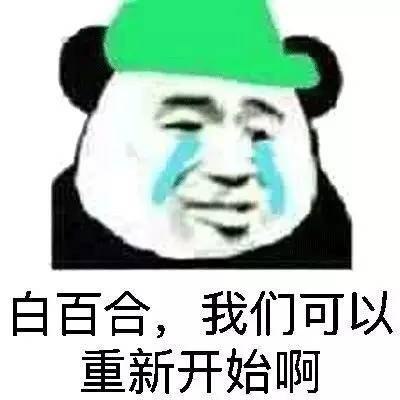 重新开始表情包图片