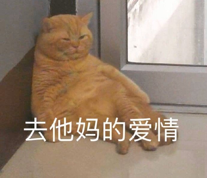 萌宠 猫星人 去你的爱情 走开 搞怪 呆萌