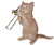 萌宠 猫咪 音乐 呆萌 可爱