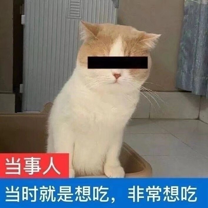 萌宠猫星人当时就是很想吃非常想吃呆萌可爱gif动图