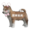 站岗小狗 狗狗 沙雕 可爱 逗