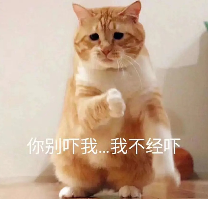 萌宠gif猫星人gif你别吓我gif我不经吓gif呆萌gif可爱gif