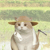 萌宠 猫咪 种地 呆萌 可爱