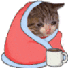 萌宠 猫咪 伤心 呆萌 可爱