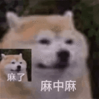 萌宠 狗狗 麻中麻 呆萌 可爱