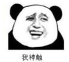 暴漫 熊猫头 我神触 搞笑 逗 沙雕