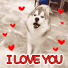 情侣 可爱 i love you LOVE iloveu