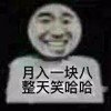 暴漫 熊猫头 月入一块八 整天笑哈哈 搞怪 逗