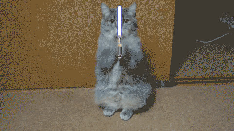猫拿激光剑动态图图片