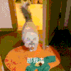 萌宠 猫咪 那我走 呆萌 可爱