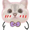 猫咪 可爱 大肚子猫咪 日常