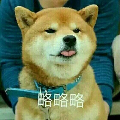 略略略略图片_略略略略动态图_略略略略表情包gif动图下载_soogif