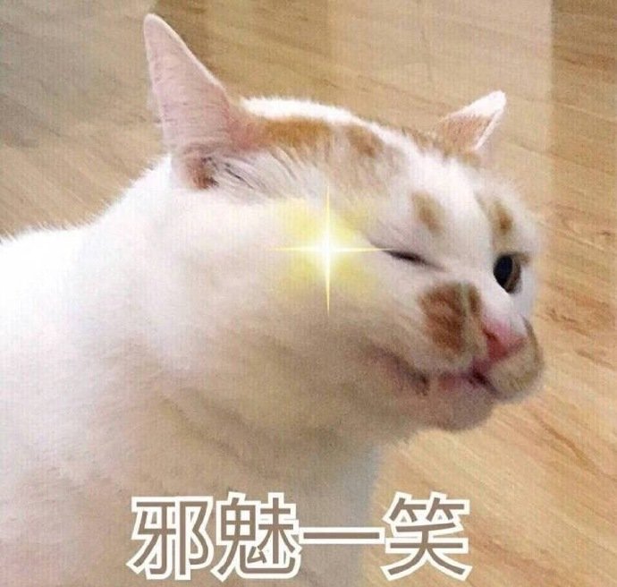 猫咪邪魅一笑的表情包图片