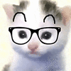 萌宠 猫咪 眼镜 呆萌 可爱