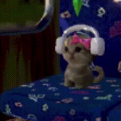 阿米嘎蒂朵 猫咪 喵喵 可爱 搞怪