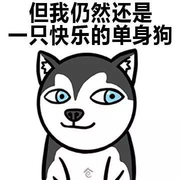 只有我散发着单身狗的清香gif柴犬gif摇尾巴gif可爱gif