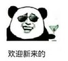 暴漫 熊猫头 欢迎新来的 搞笑 逗 沙雕