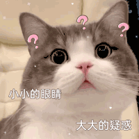 萌宠 猫咪 疑惑 呆萌 可爱