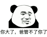 暴漫 熊猫头 你大了 爸管不了你 搞怪 逗