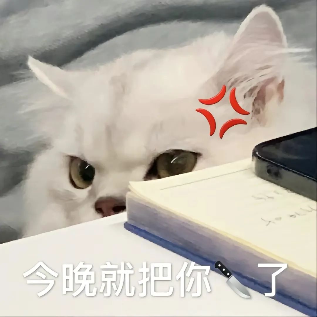 猫咪 今晚就把你刀了 沙雕 搞笑 逗