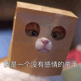 我是一个没有感情的杀手